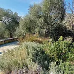 Diana * Agios Georgios (Thasos)