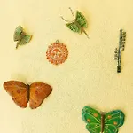 Εξοχικό σπίτι Diana Agios Georgios (Thasos)