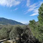 Diana Agios Georgios (Thasos)