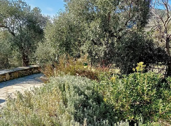 Diana * Agios Georgios (Thasos)